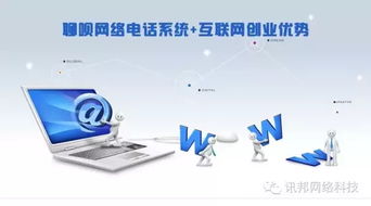 国内与国外网络电话技术服务的深度对比分析