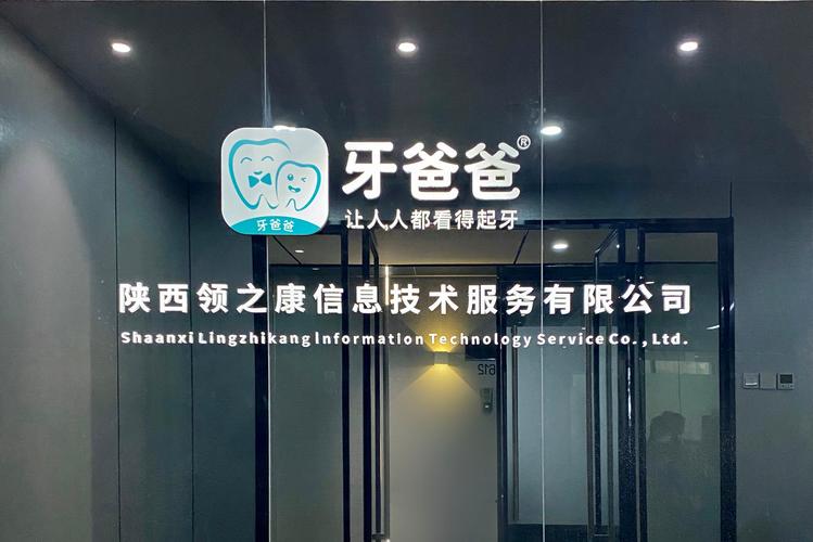 数字化浪潮中的信任基石 信息咨询与网络技术服务新探